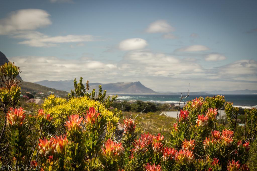 ホテル The Trailhouse Bettyʼs Bay エクステリア 写真